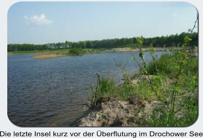 Die letzte Insel kurz vor der Überflutung im Drochower See