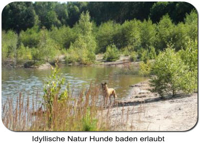 Am Drochower See können Hunde baden.