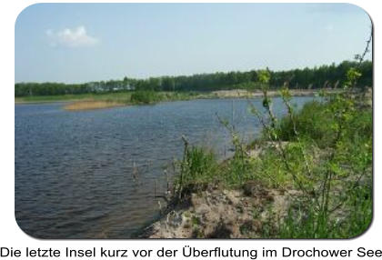 Die letzte Insel kurz vor der Überflutung im Drochower See