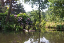 Naturlandschaft Niederlausitz im Spreewald