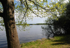 Senftenberger See Peikwitz