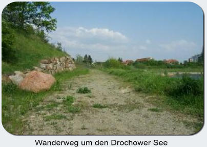 Wanderweg um den Drochower See am Ostufer