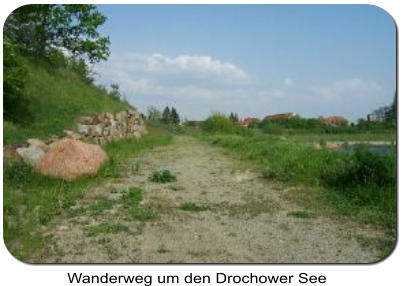 Wanderweg um den Drochower See am Ostufer