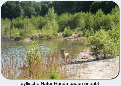 Am Drochower See können Hunde baden.