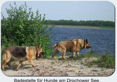 Badestelle für Hunde am Drochower See.