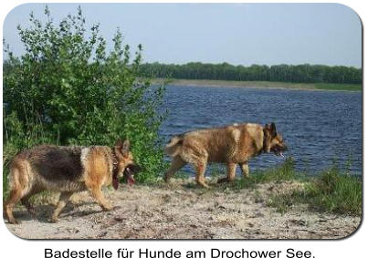 Badestelle für Hunde am Drochower See.