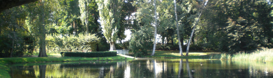 Schlossteich im Senftenberger Park