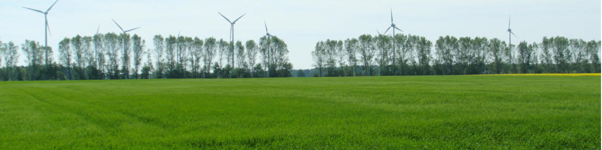 Windpark bei Finsterwalde