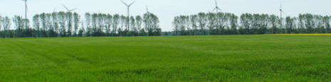 Windpark bei Finsterwalde