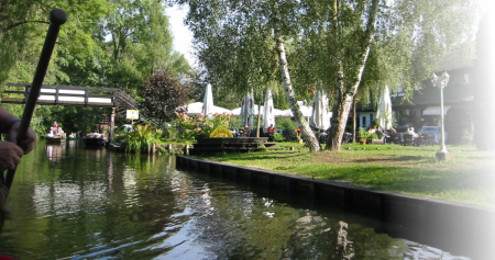 Erleben Sie einzigartig Natur im Spreewald