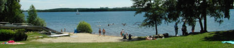 FKK und Surferstrand am Senftenberger See im Stadtteil Buchwalde