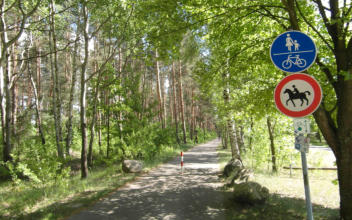 Fahrradweg in Peickwitz, rund um den Senftenberger See