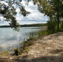 idyllischer Strand der Südsee am Senftenberger See