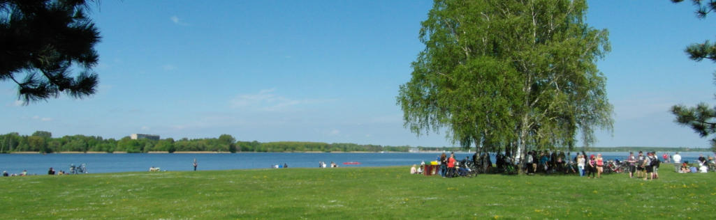 Große Liegewiese am Niemtscher Strand ( Senftenberger See )