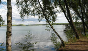 Senftenberger See Strandbereich in Niemtsch