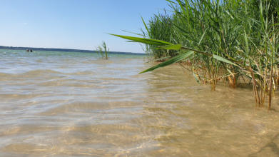 Strandzugang Partwitz